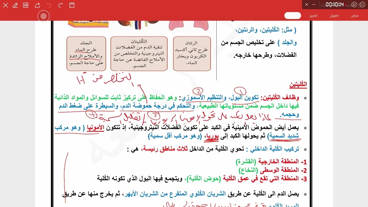 جهاز الإخراج ج1