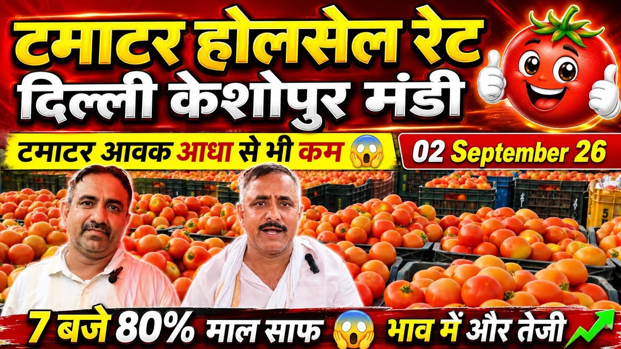 टमाटर के भाव दिल्ली🍅 02 Sep. 2026 Delhi  Keshopur Mandi | today tomato rate #tamatar #tomato #mandi 