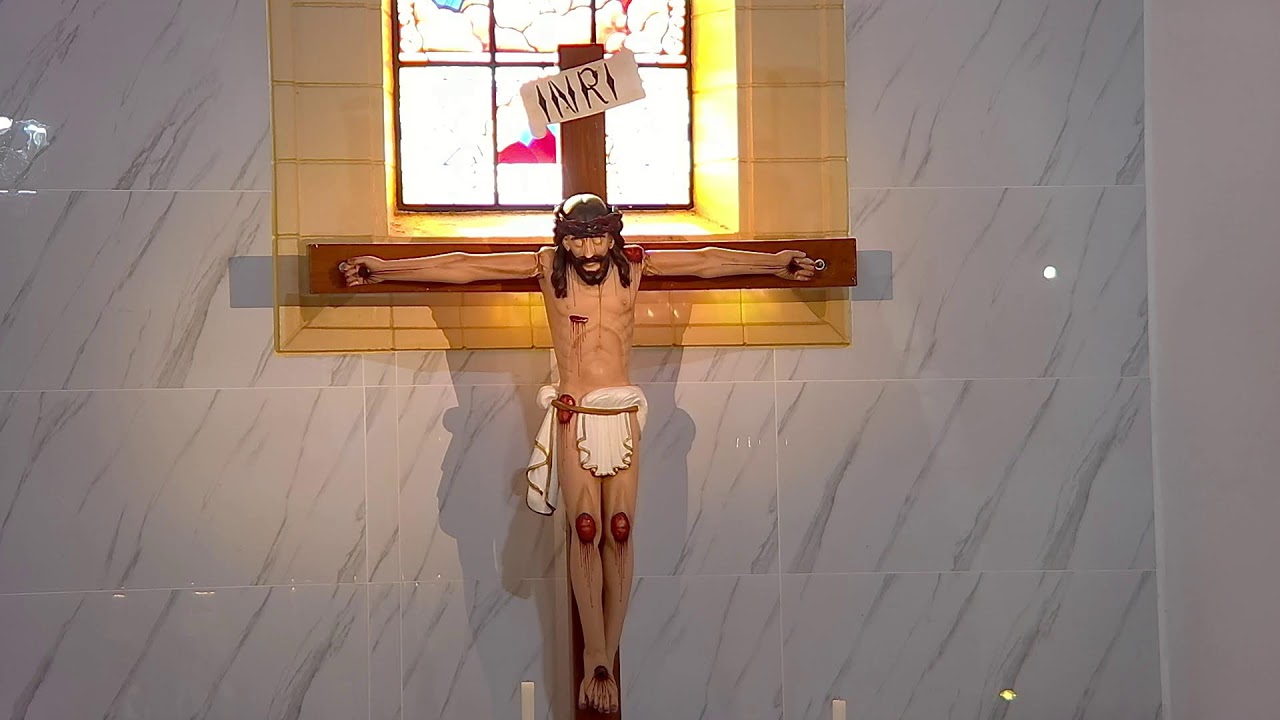 Santa Missa Ao vivo | 6° Domingo do Tempo Comum.15-02-2026.07.00h.