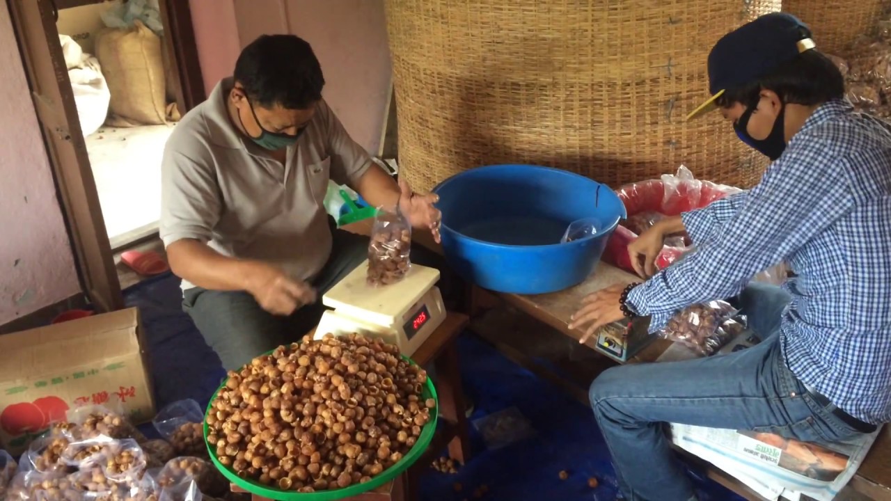 Organic soapberries processing & packaging