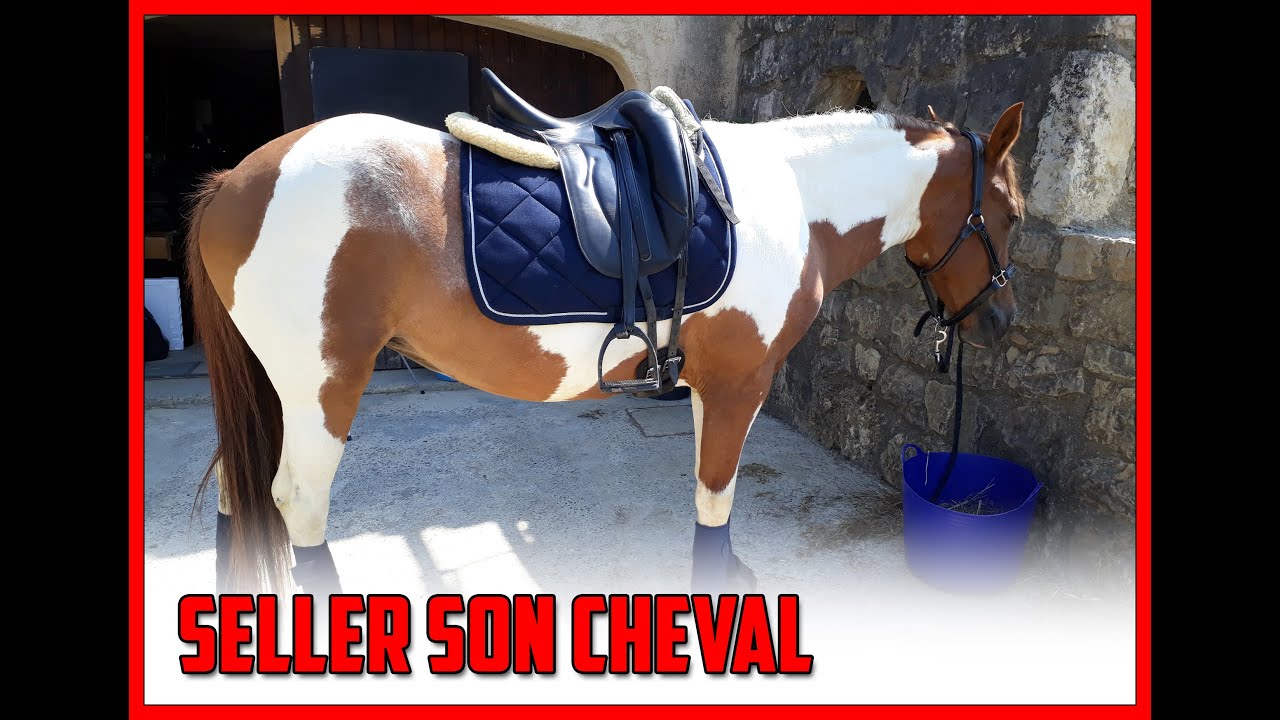 [GALOPS 1 & 2] SELLER SON CHEVAL