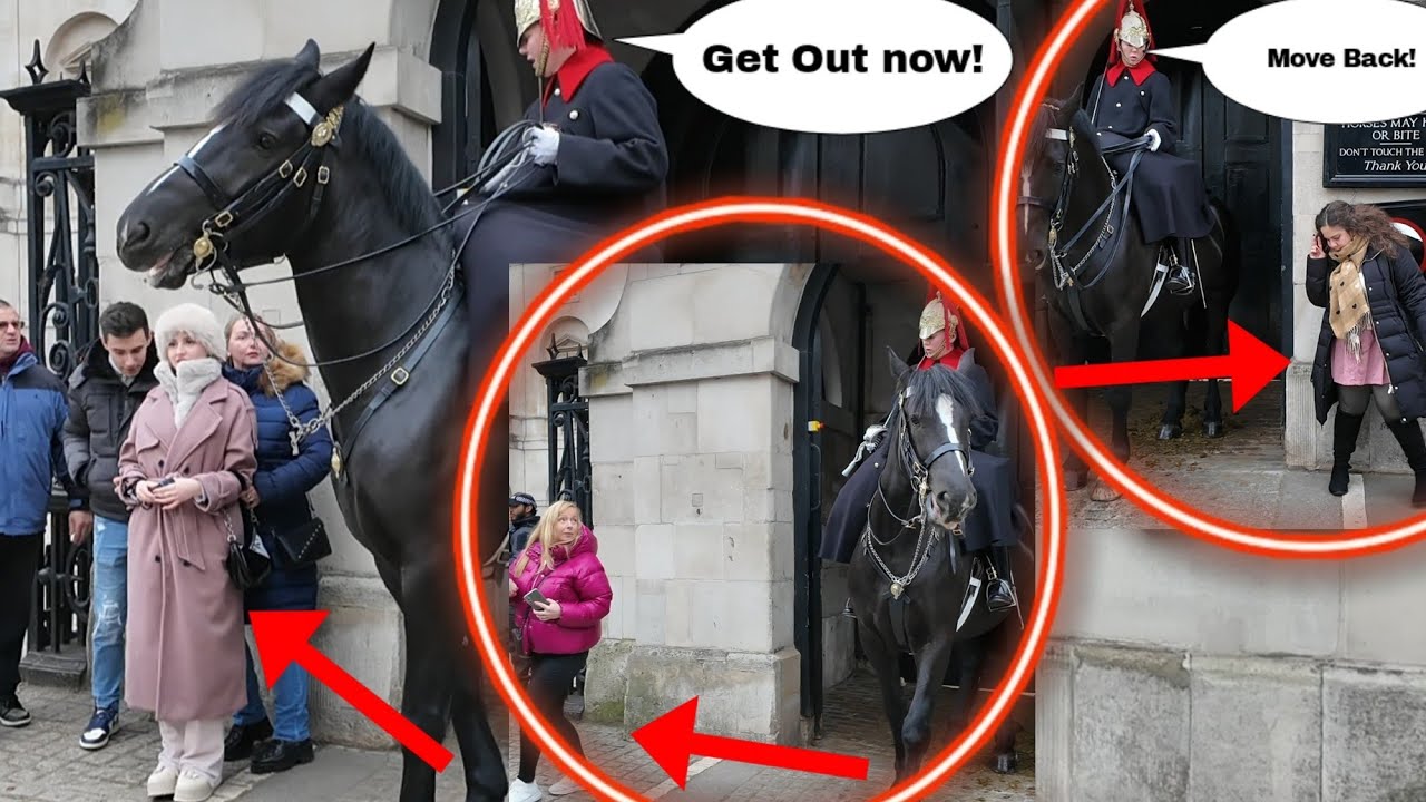 Fed up lady guard CHARGES her horse at Disrespectful Tourists!