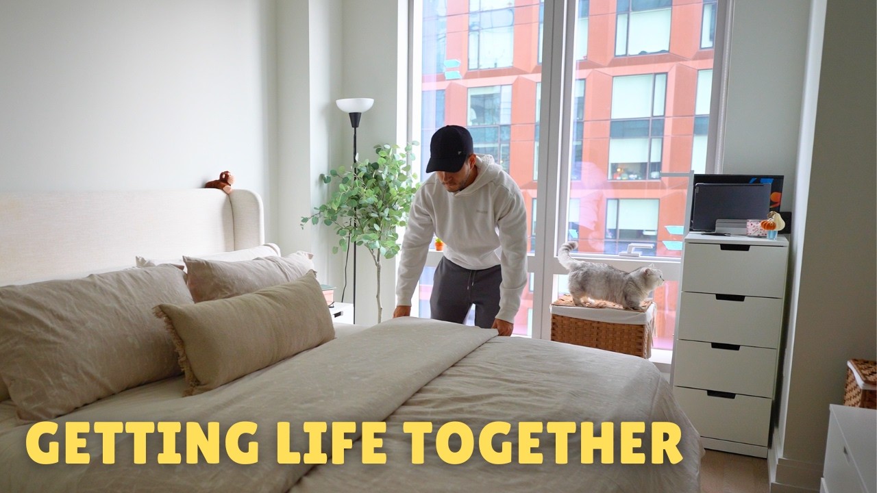 getting our life back on track in nyc with two dogs and a cat