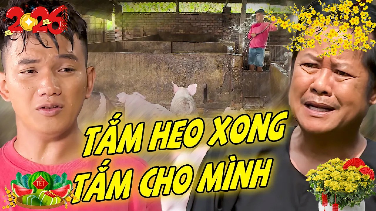 PHIM HAI L&Uacute;A 🌺 TẮM HEO XONG TẮM CHO M&Igrave;NH 🌺 PHIM MIỀN T&Acirc;Y 🌺 PHIM VIỆT NAM HAY 🌺 PHIM VIỆT NAM 2026