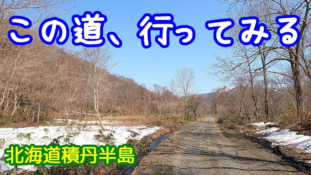 北海道積丹半島、きれいな石を探してウロウロしました