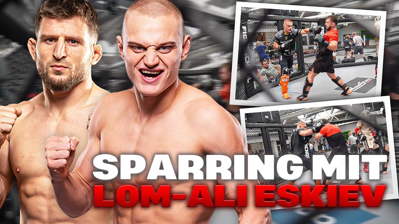 Update und Sparring 