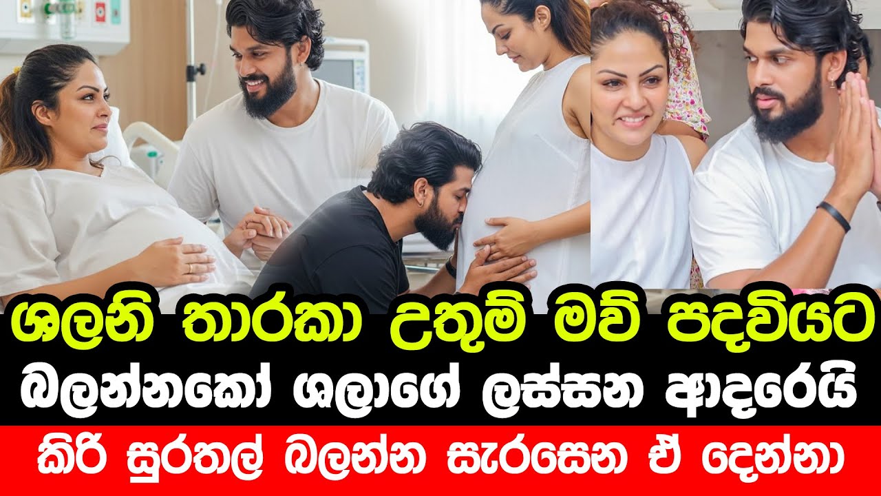 ශලනි තාරකා උතුම් මව් පදවියට | Shalani Tharaka Pregnant | Shalani Tharaka become a Mother news