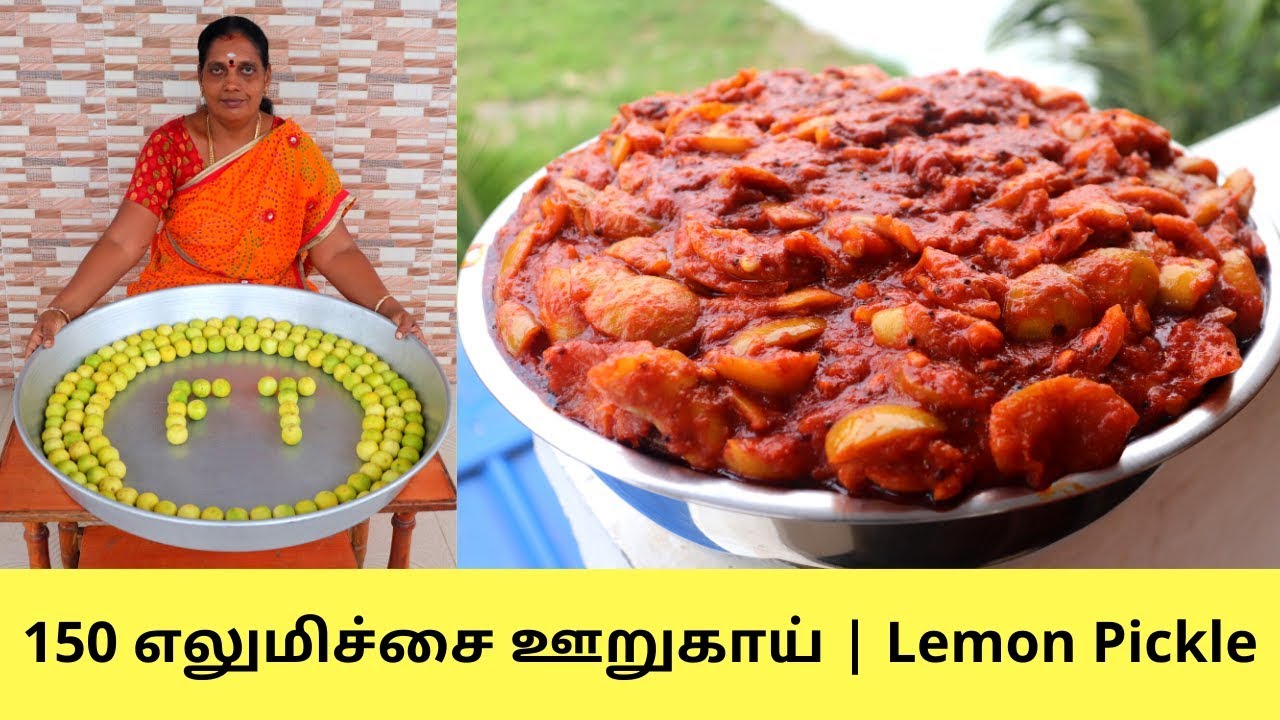 150 எலுமிச்சை ஊறுகாய் வீட்டு முறையில் | Lemon Pickle In Bulk Quantity