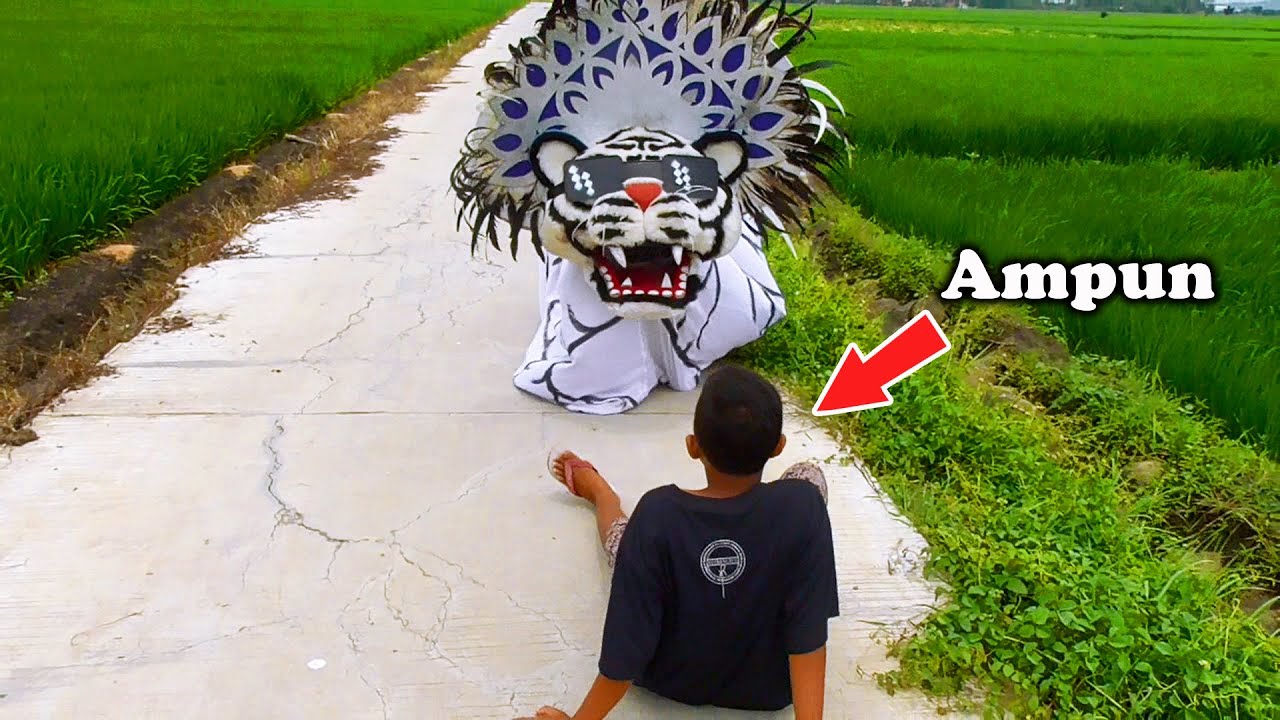 NANTANG BARONGAN KACAMATA MALAH DICAPLOK | DRAMA CERITA PENDEK LUCU