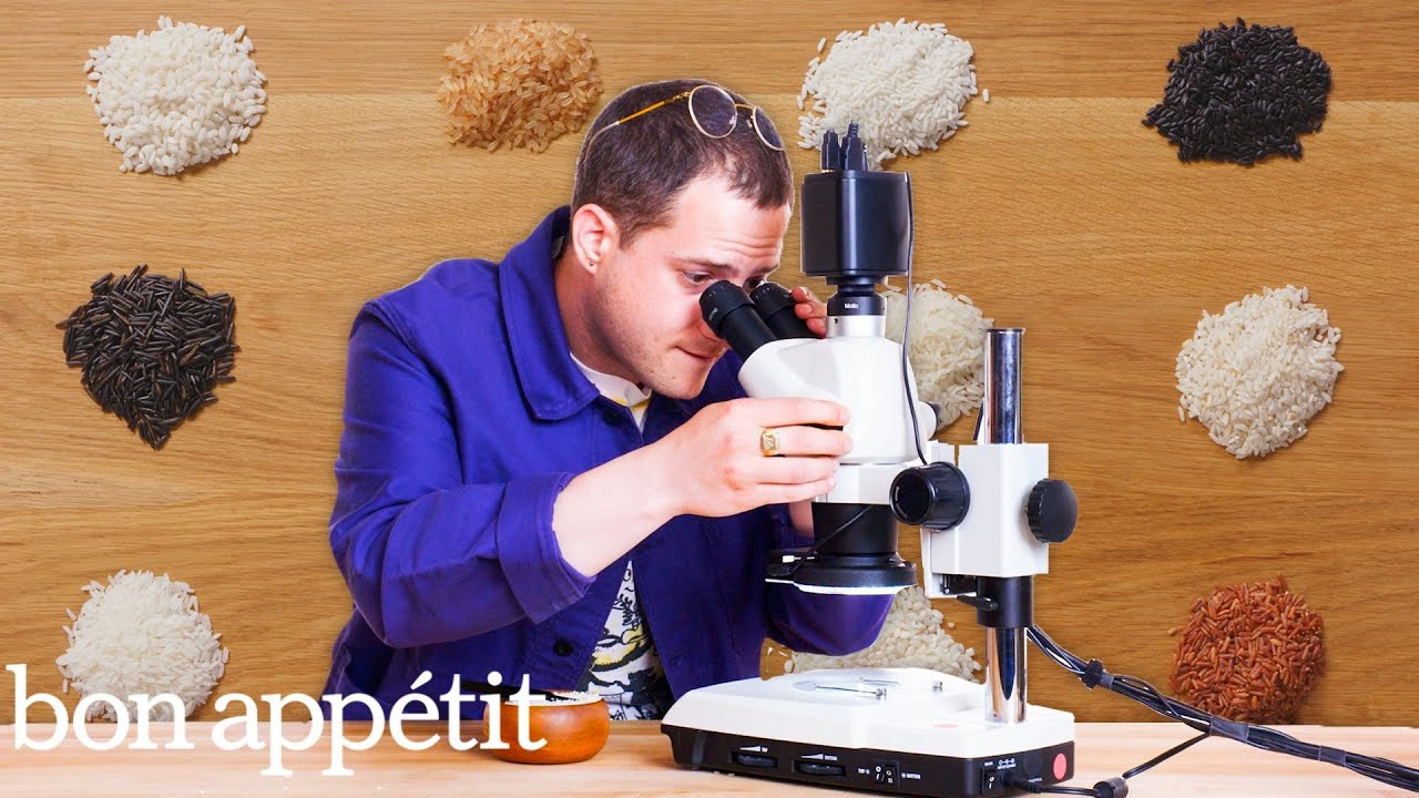 12 Types of Rice, Examined Under a Microscope and Cooked | Bon App&eacute;tit