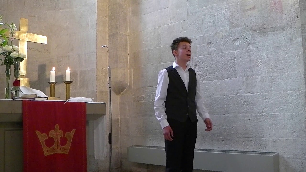 all of me - coverd by Lucas Neps