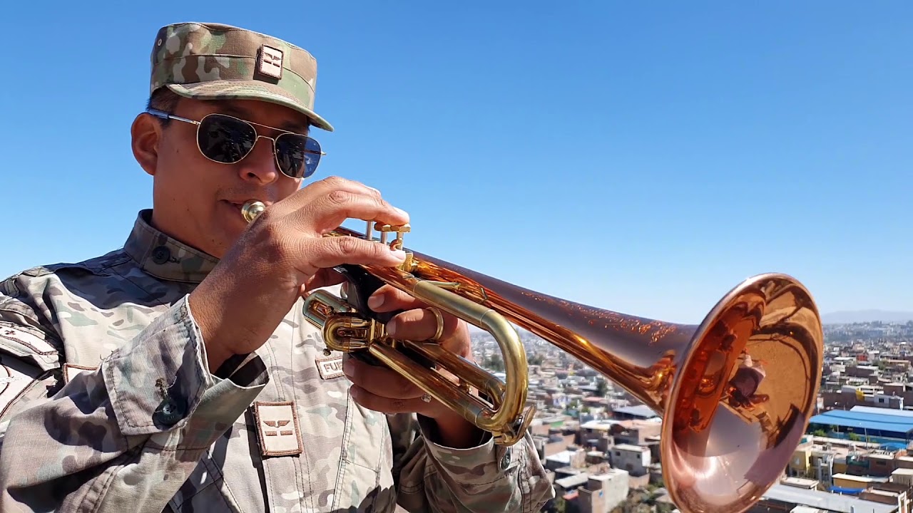 CHOLO SOY - TRUMPET ( Cover)
