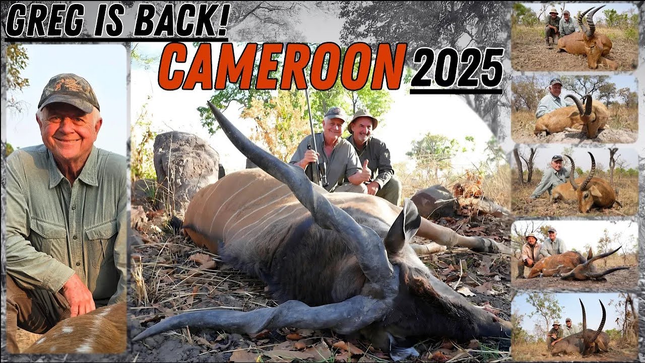 Greg is back - Cameroon hunting Lord Derby Eland with Mayo Oldiri Safaris #hunting