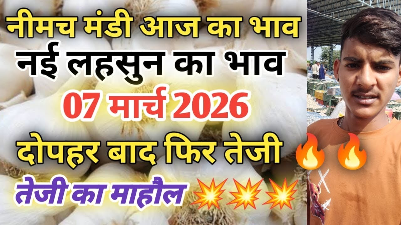 नीमच मंडी आज का नई लहसुन का भाव  / Neemuch mandi bhav today /Neemuch mandi lahsun bhav