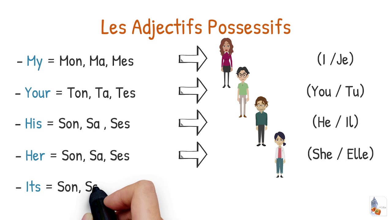 N'sTip 5 Les Adjectifs Possessifs ANGLAIS!