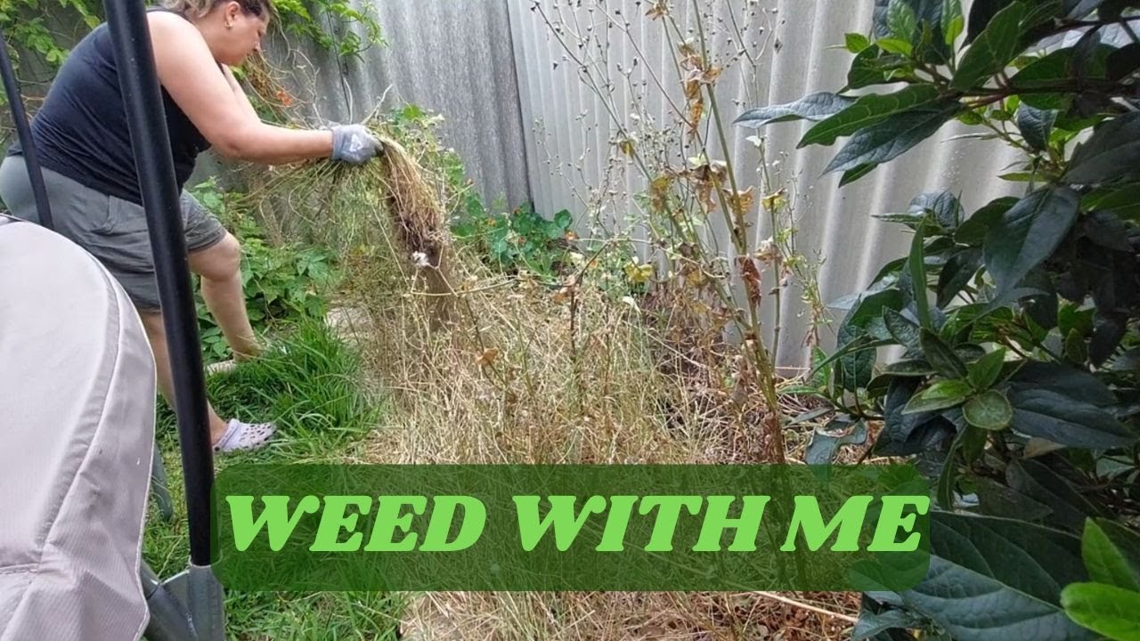 Weed with me in Perth (region) Western Australia | Garden Tidy Up