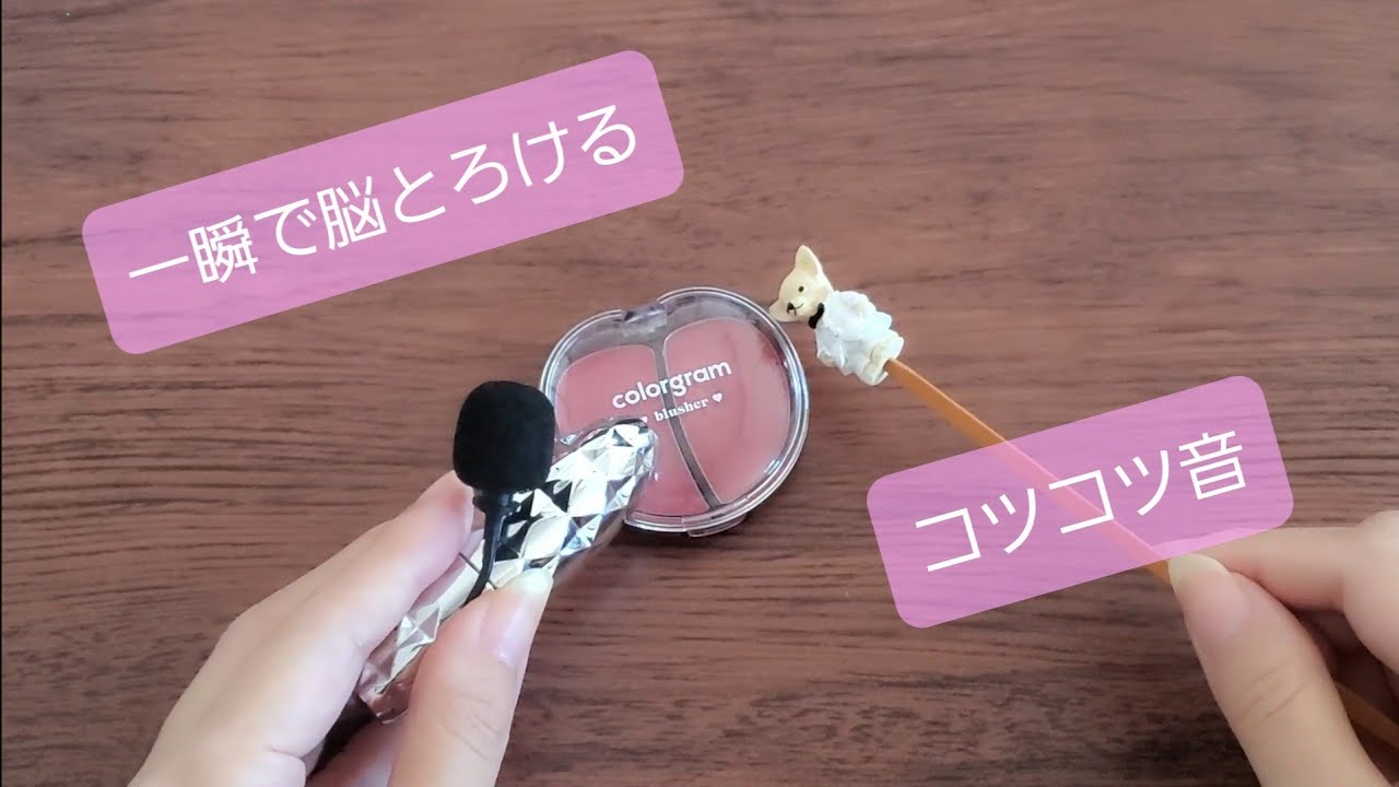 【ASMR】犬の耳かきでリップやチークをコツコツカリカリ🧸