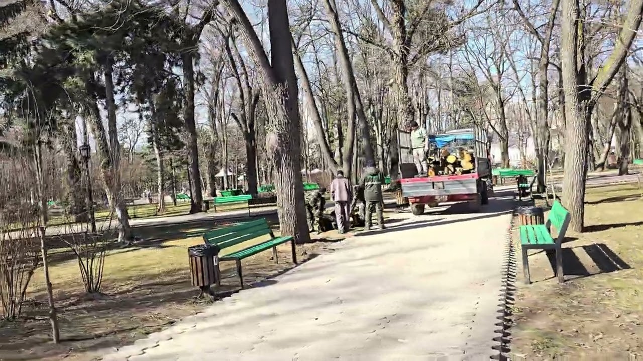 Кишинёв, продолжают и сегодня резать ветки в парке.12.03.2026