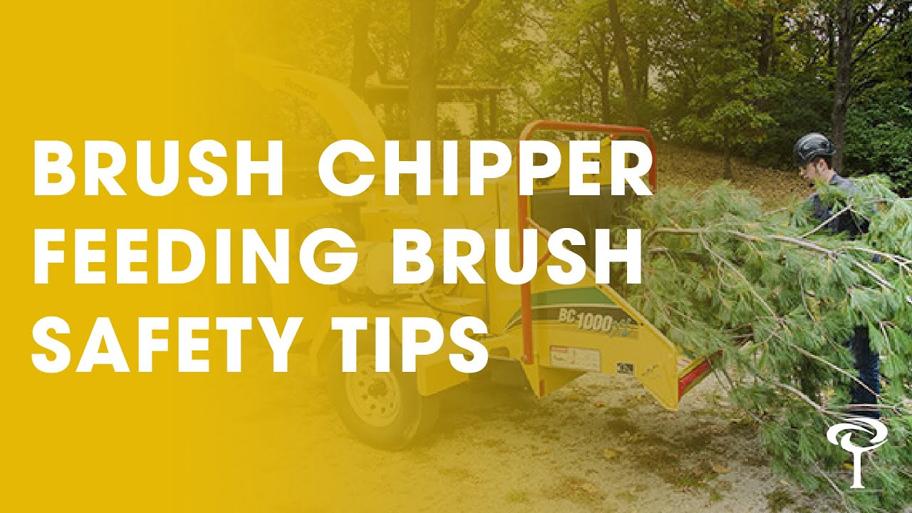 Brush Chipper Feeding Brush Safety Tips | The Tree Care Industry Association