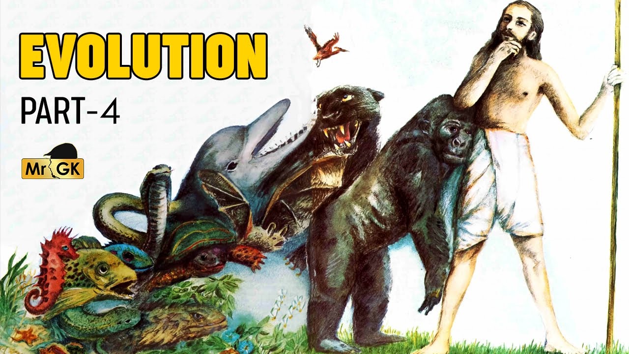 Evolution Part 4 - Human evolution in Tamil | பரிணாம வளர்ச்சி | Mr.GK