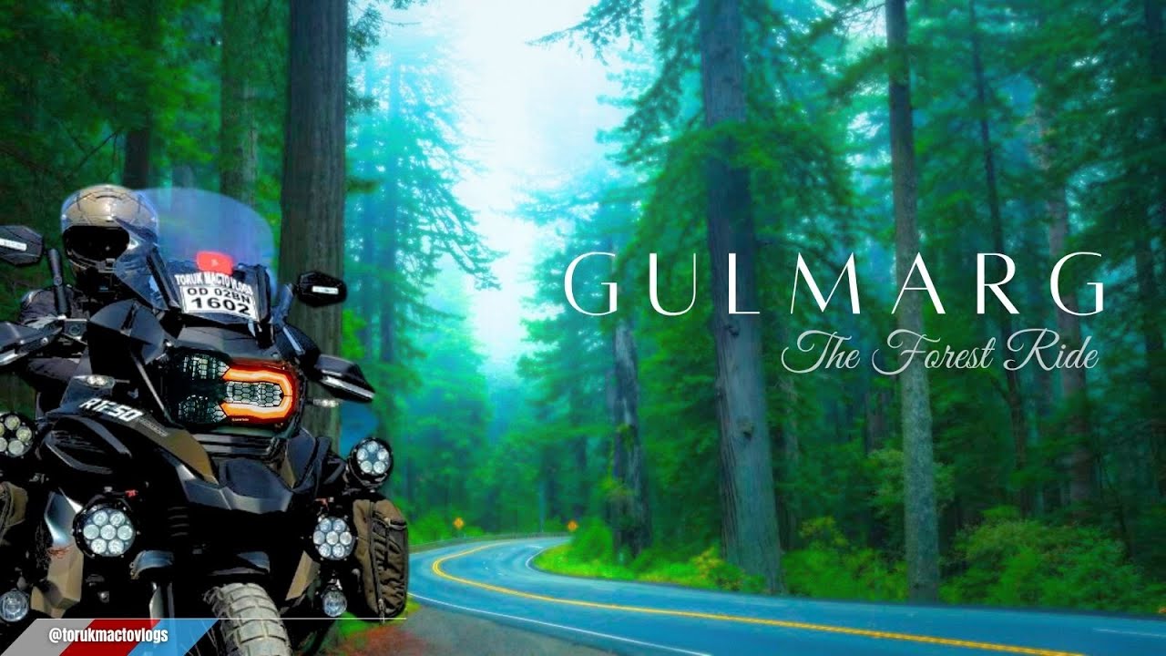 Through Kashmir’s Most Beautiful Forest 😱 | BMW R1250 GS Adventure | Ep 7
