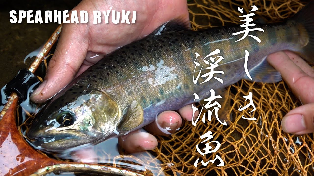 【トラウト】リュウキを駆使して美しき渓流魚を狙う(中野光大)
