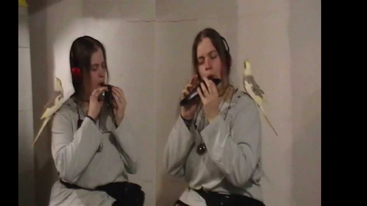 Gelfling song duet from The Dark Crystal ♦ Anything on Ocarina