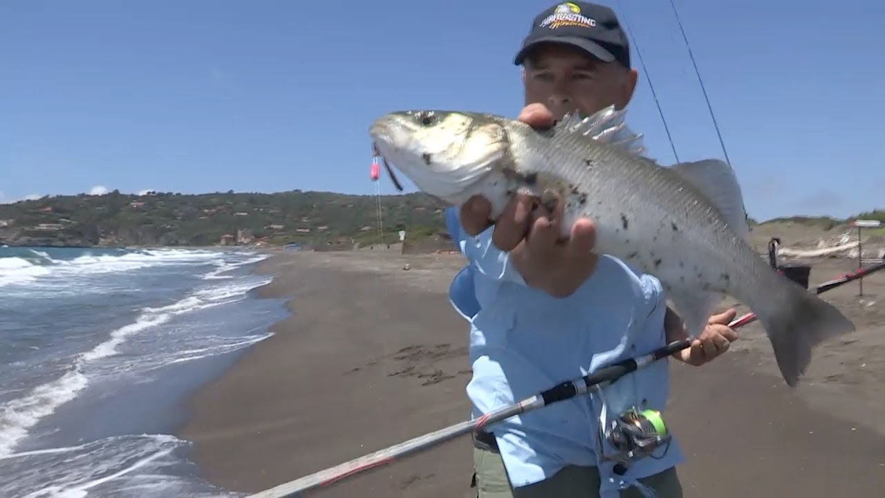 4 Nodi per shock leader