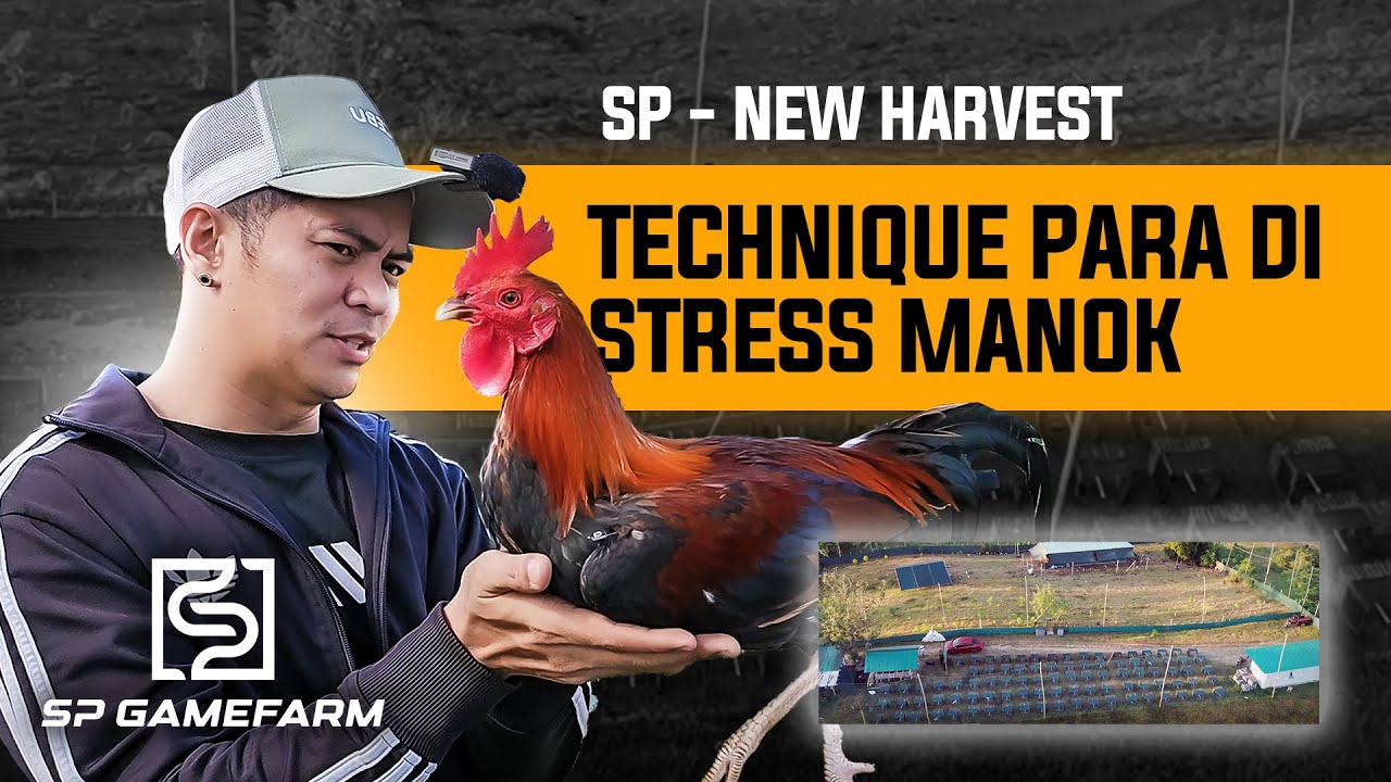 Ganito Kami Mag-Harvest | Hardening Process