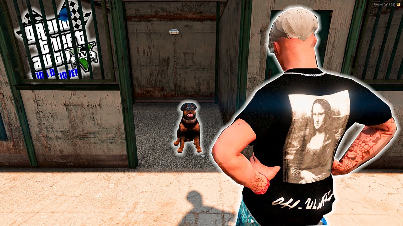 GTA V: VIDA DE JOVEM | TIVE QUE ADOTAR UM CÃO DE GUARDA EP#9