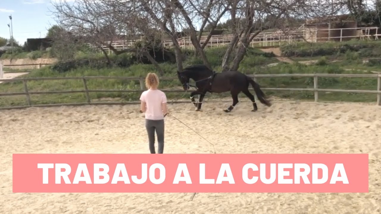 Trabajo a la cuerda para fortalecer el dorso del caballo || Tutorial