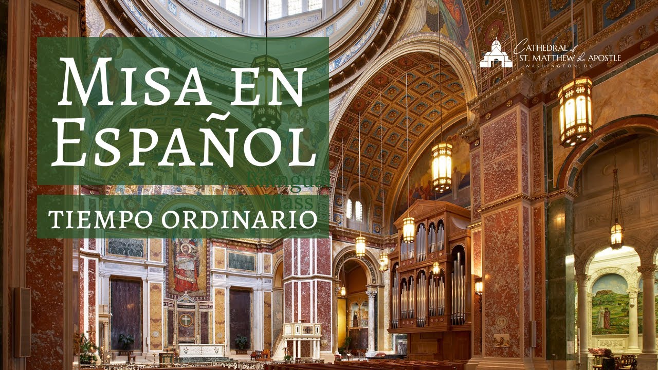 V Tiempo Ordinario 2026 - Catedral de San Mateo Apostol - Washington, DC