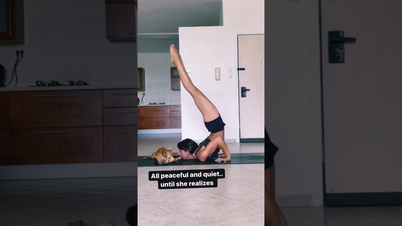 Today yoga 🧘&zwj;♀️ #yoga #yoganearme #yogawithlaura #yogamusic