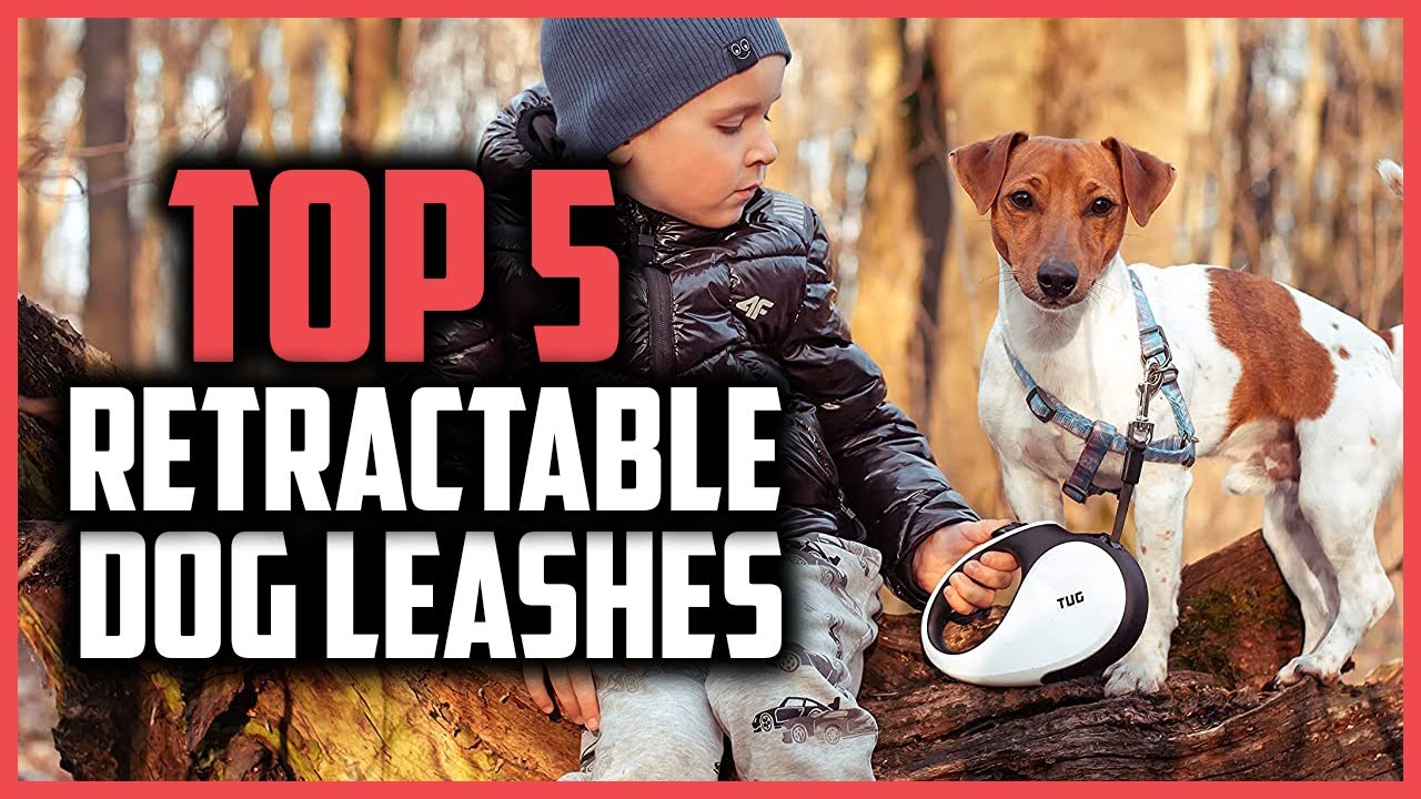 ✅ Top 5 Best Retractable Dog Leashes of 2024