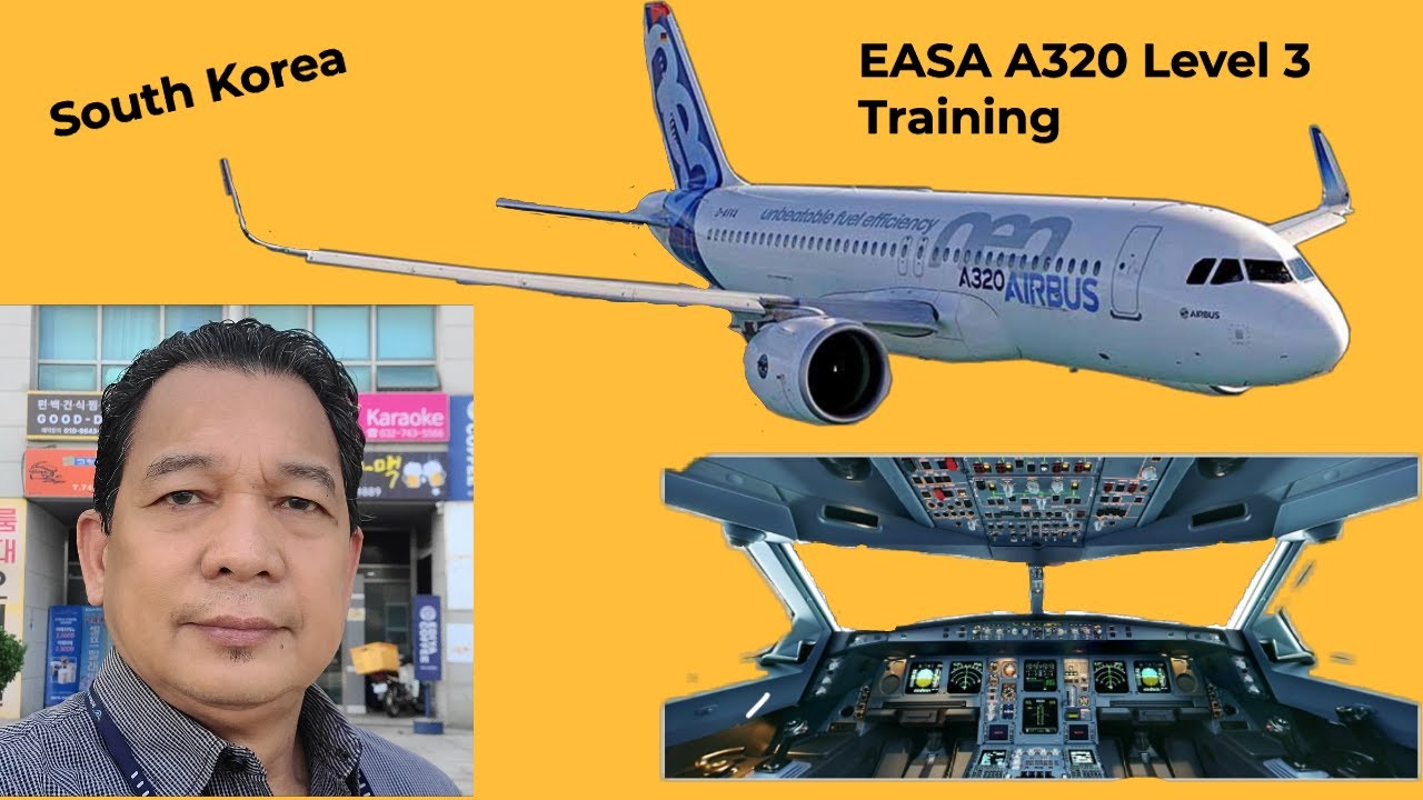 A320 EASA Level 3 Training.