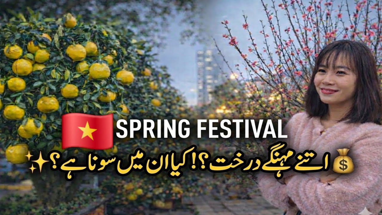 Vietnam Spring Festival 🌸 | لاکھوں کے درخت 😮