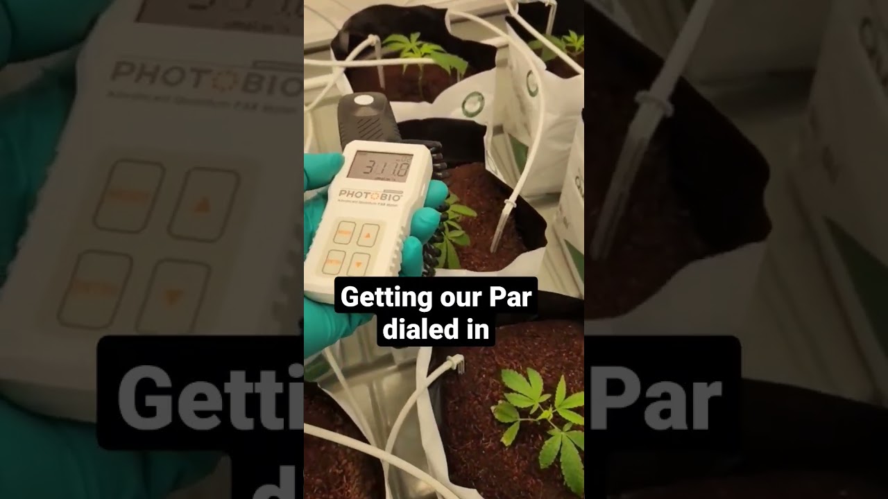 Education only. watch our micro-cultivation in Canada grow