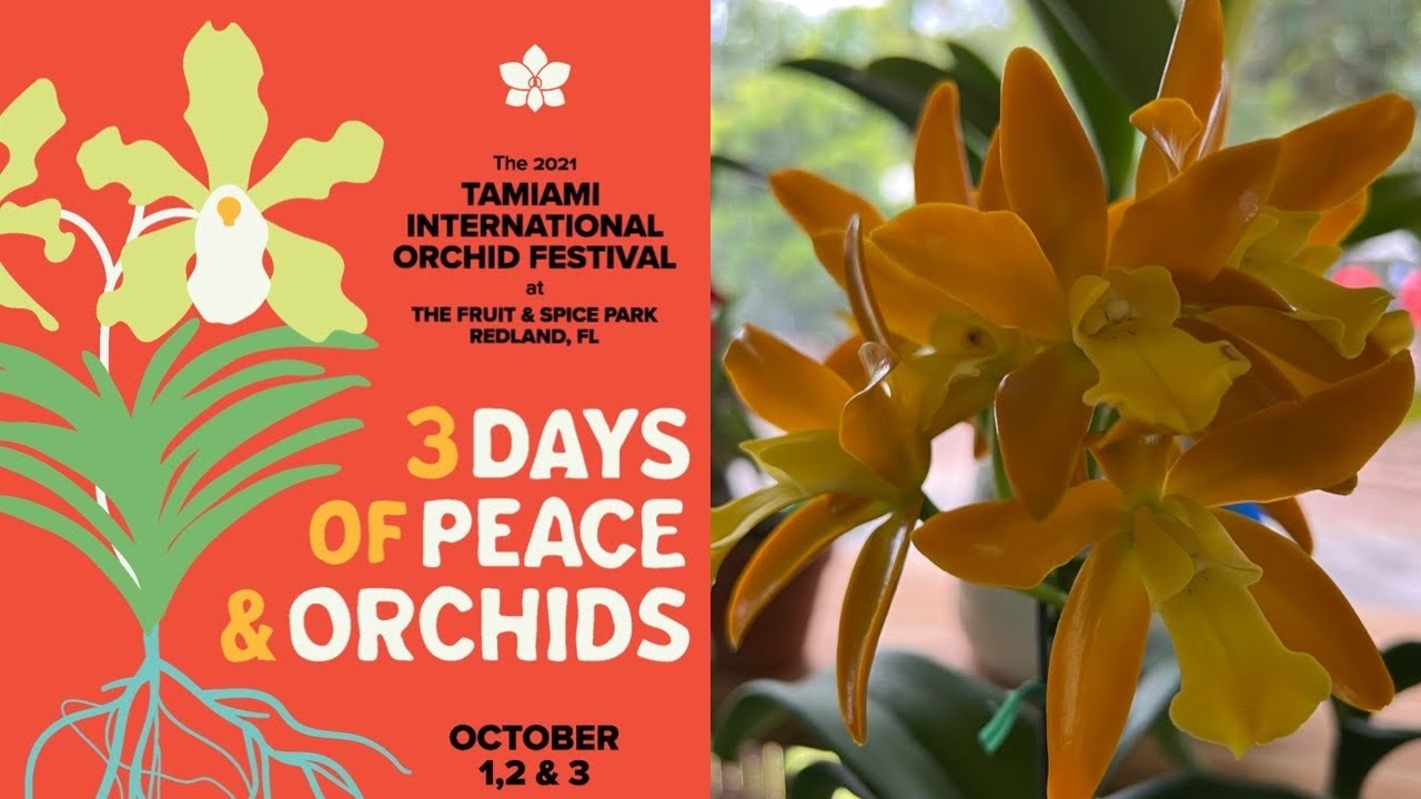 2021 Tamiami International Orchid Festival