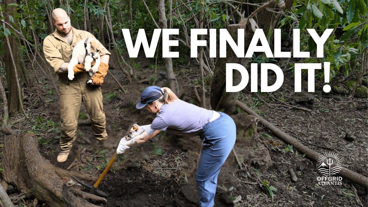 This Is Why We Moved Here... | Building a Life Off-Grid on an Island