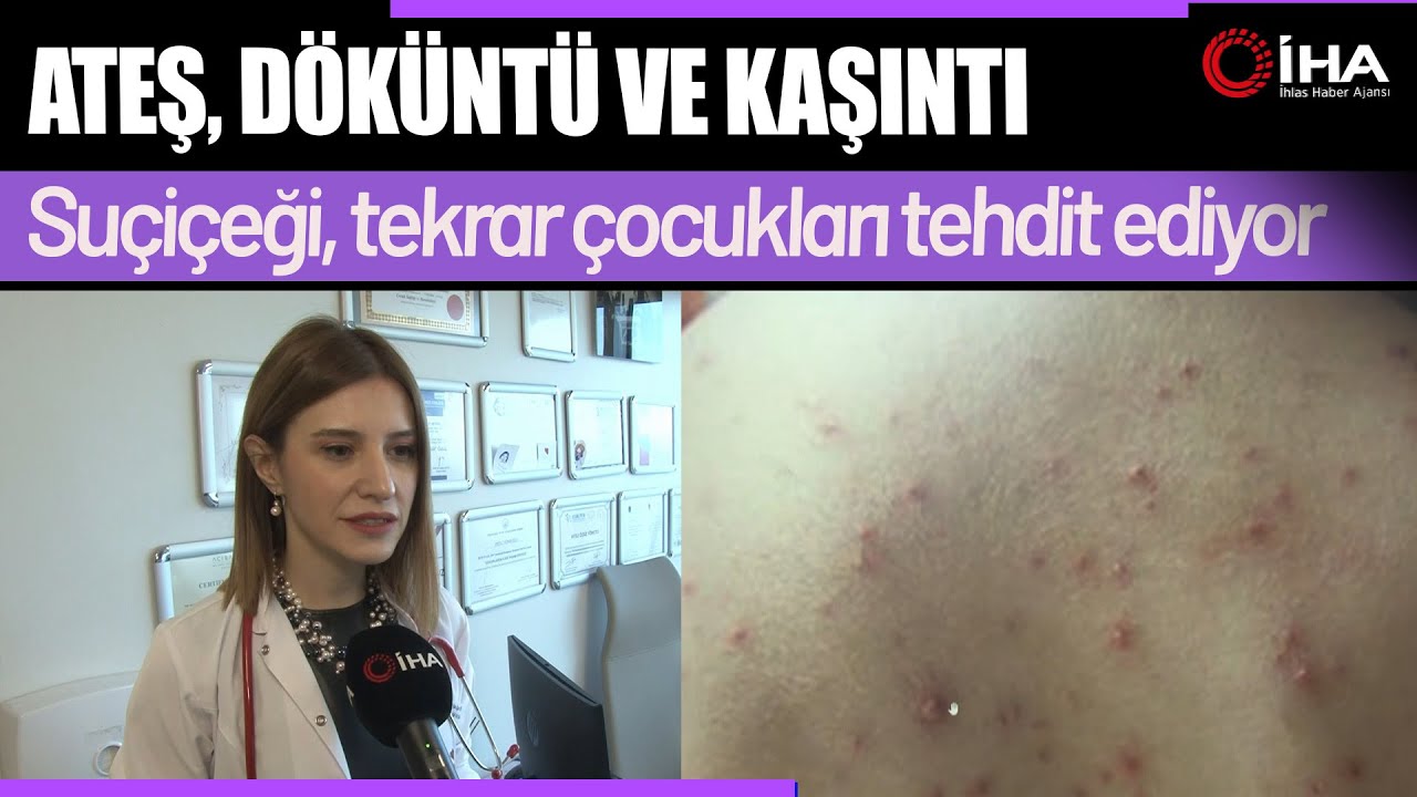 Suçiçeği Alarmı ''Son 10 Yılda İlk Kez Böyle Sıklıkta Görüyoruz”