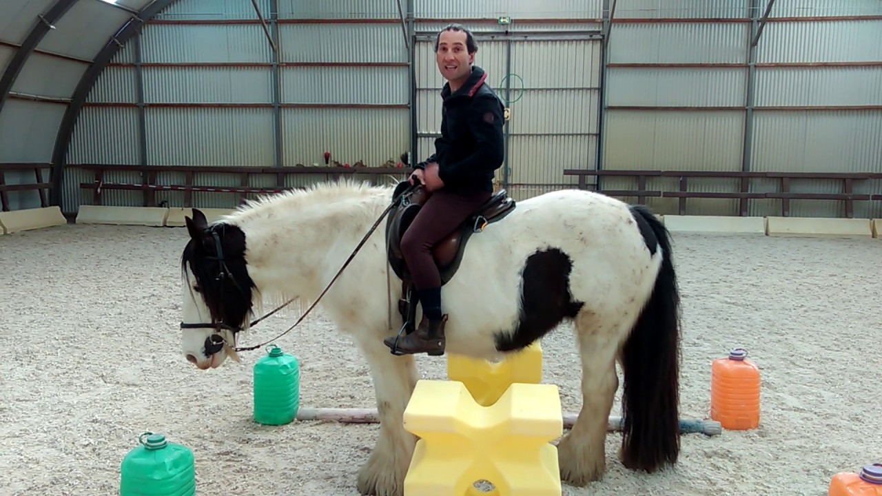 Comment gérer un cheval qui 