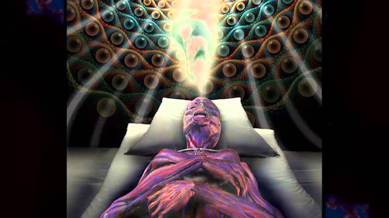 Iboga  Meeting the Divine