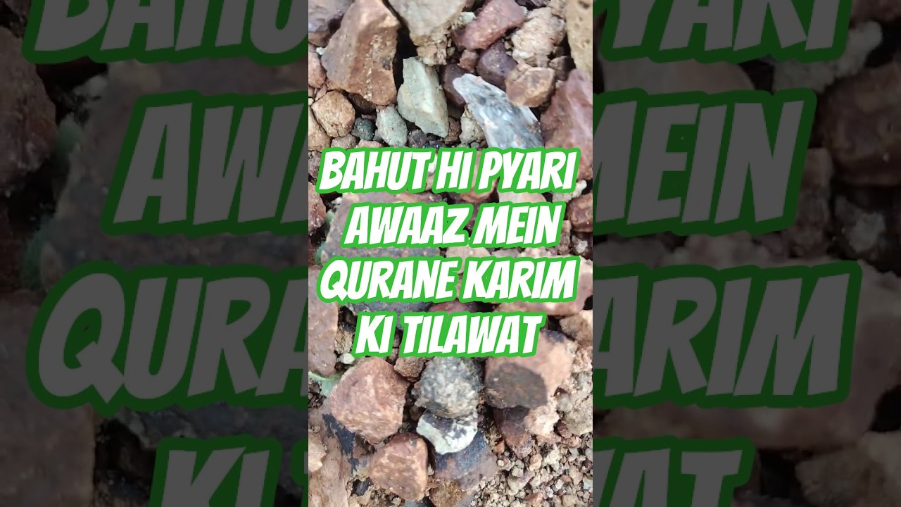 qurane Karim ki tilawat subah subah ise sune 