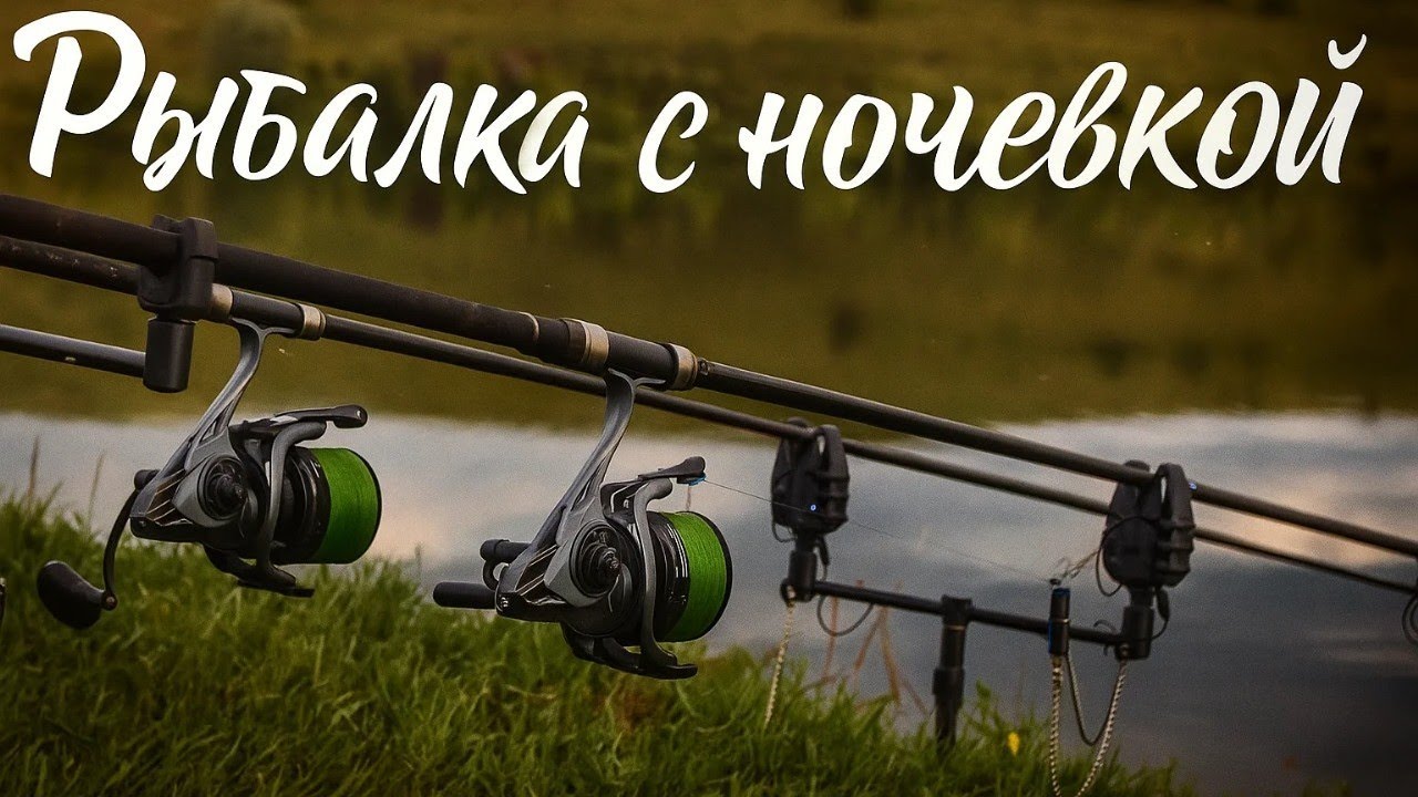 Рыбалка на карпа и крупного карася. Флэт кормушки. Лето 2025 #рыбалка #fishing #carpfishing