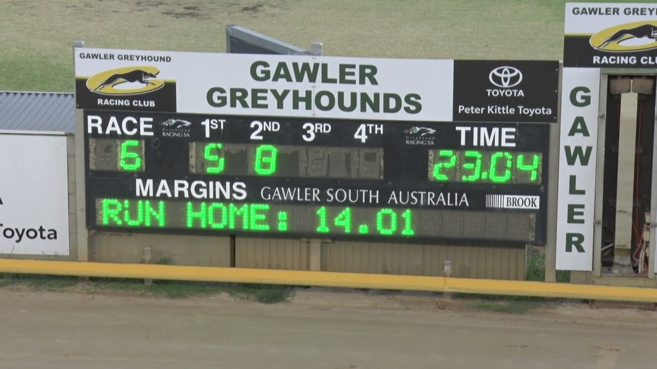 Gawler-18012026-Race-6