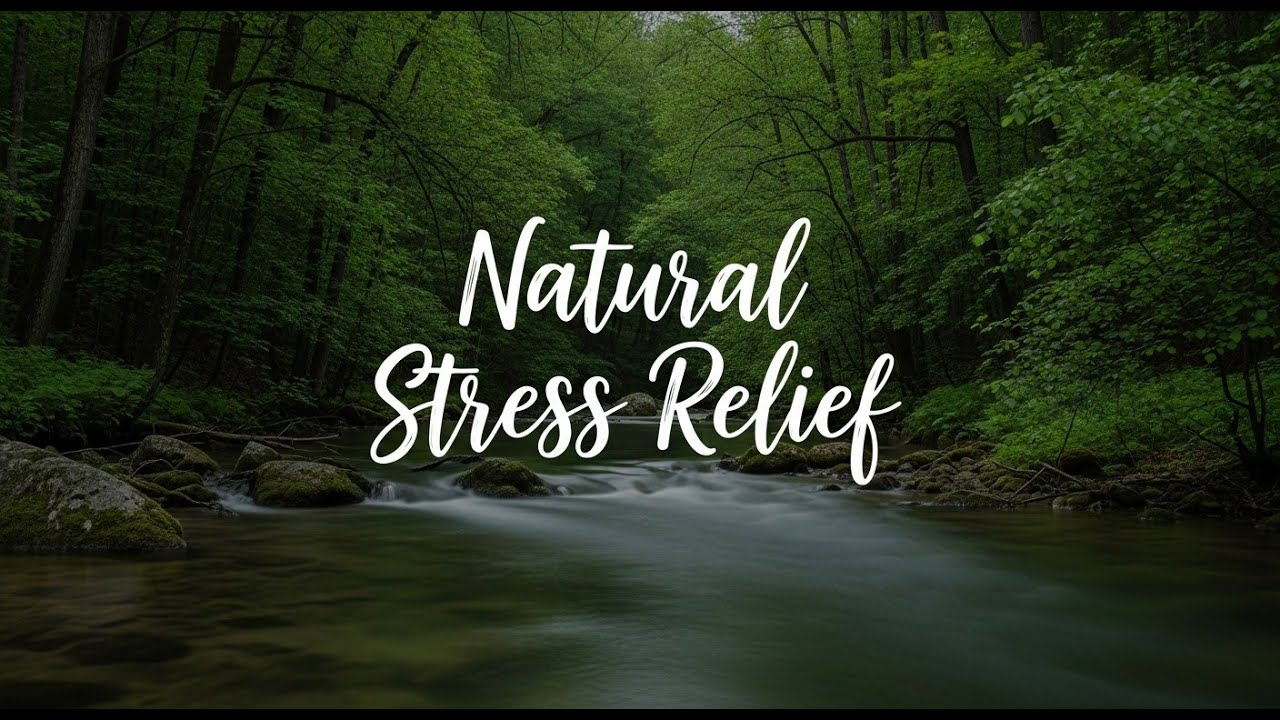 River Water ASMR 12 Hours for Heavy Sleep and Calm Mind