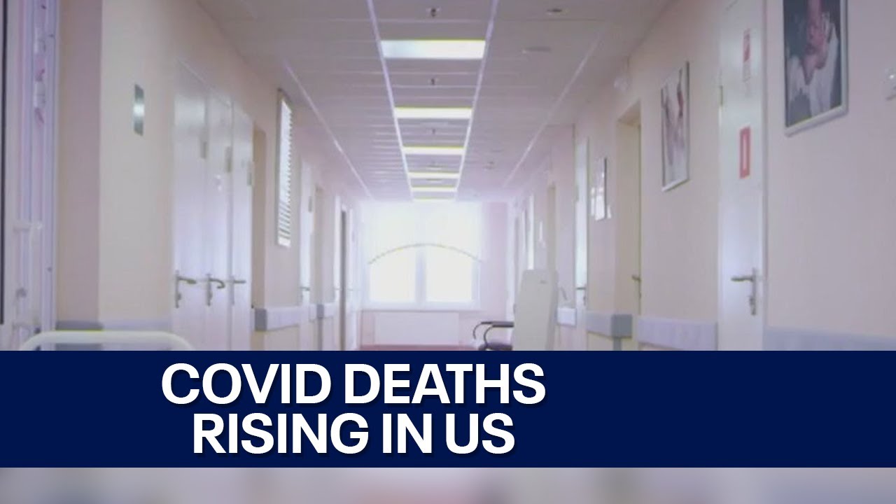 COVID hospitalizations, deaths up 21% in US | FOX6 News Milwaukee