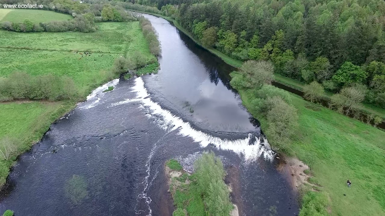 St. Mullins Weir - a major fish migration barrier