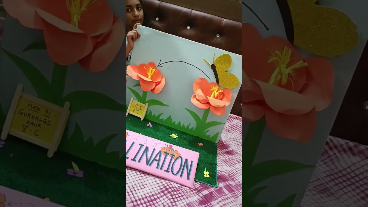 #science #scienceproject #pollination #youtubeshorts #biology #biologyclass12 #ytshorts  #art #easy