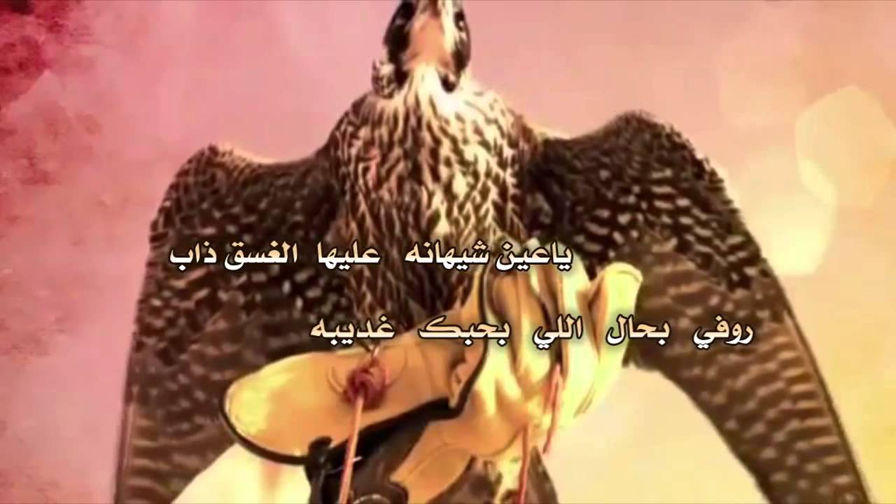 شيلة صويب الحب كلمات مبارك الزعبي اداء بيرق الهيلا نبيه السريح تنفيذ حسام الشراري